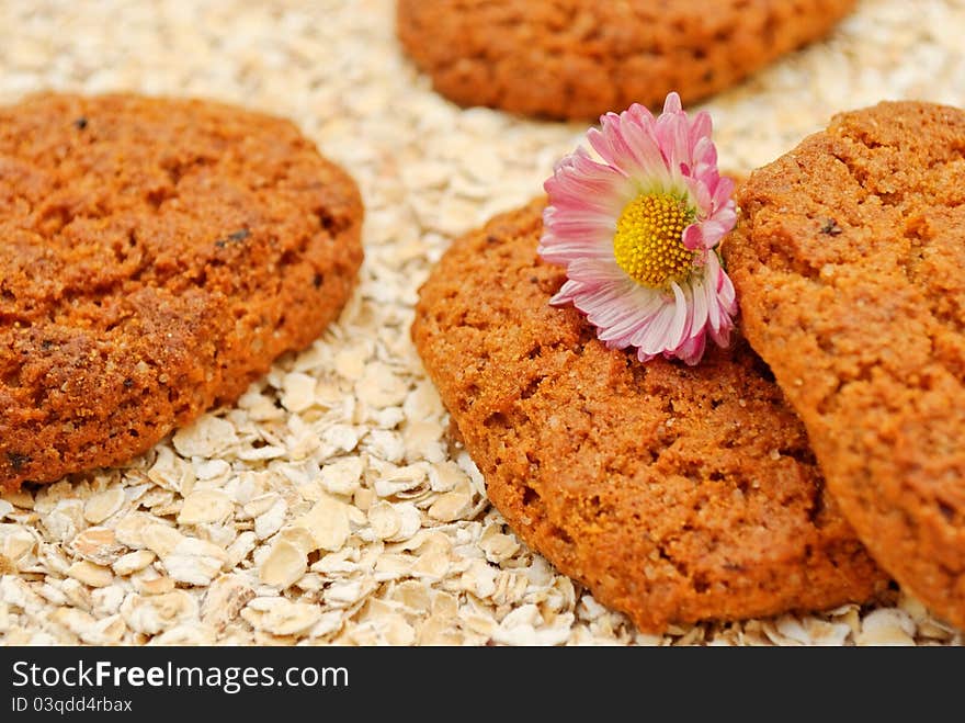 Still life with oatmeal cookies