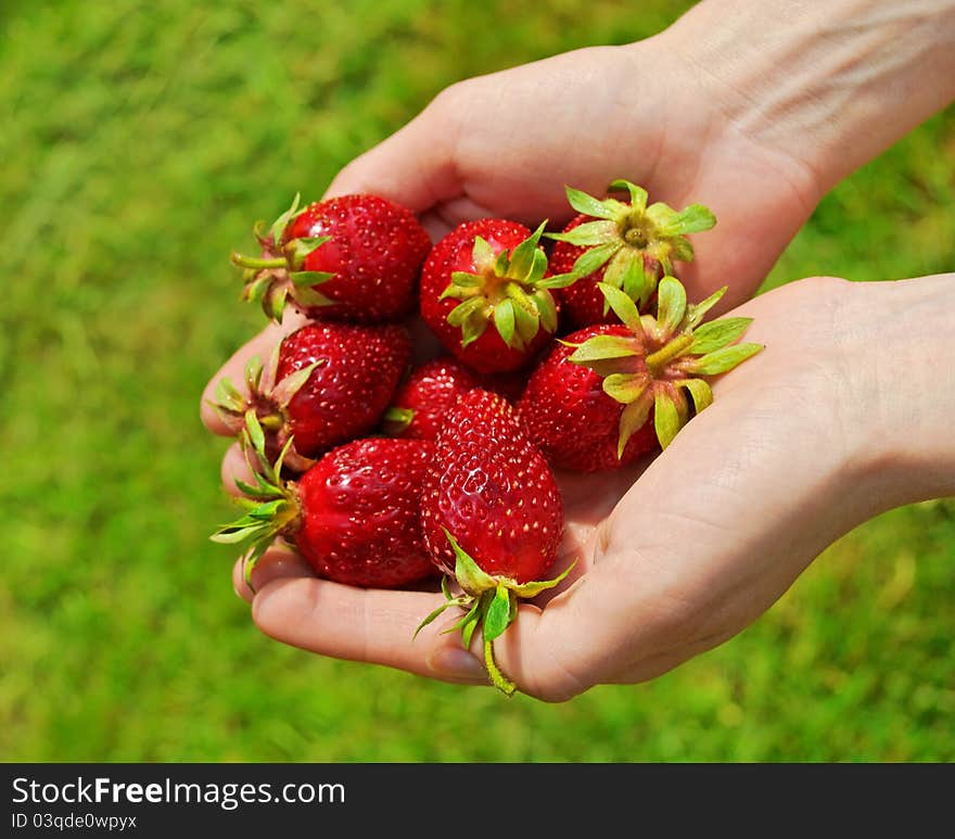 Handful of strawberries