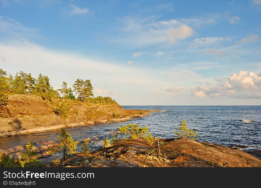 North sea landscape with stony shores and pines