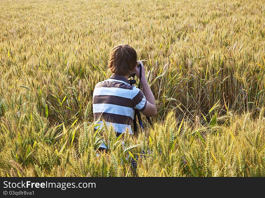 Fotographer in corn field