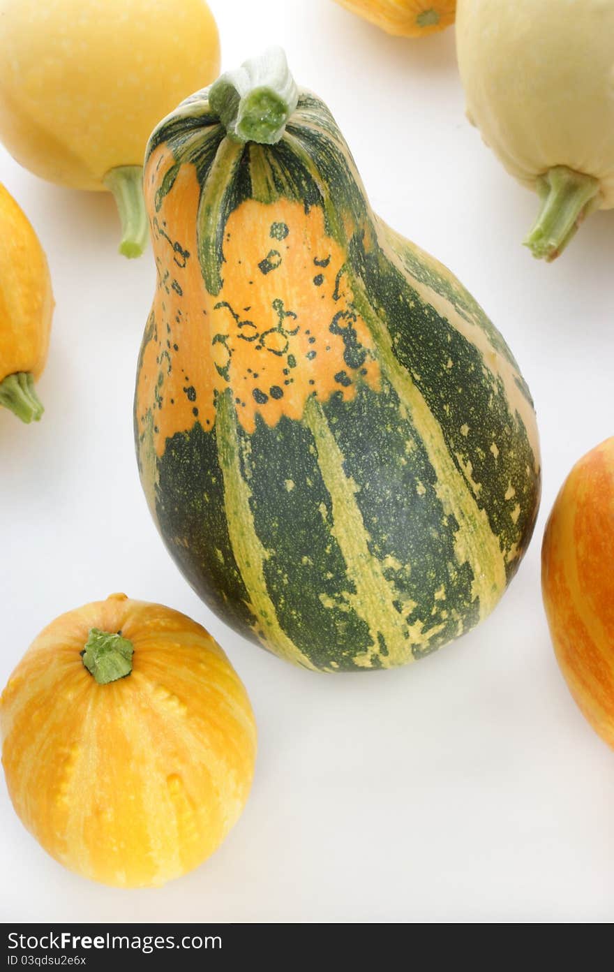 A few decorative pumpkin on a light background