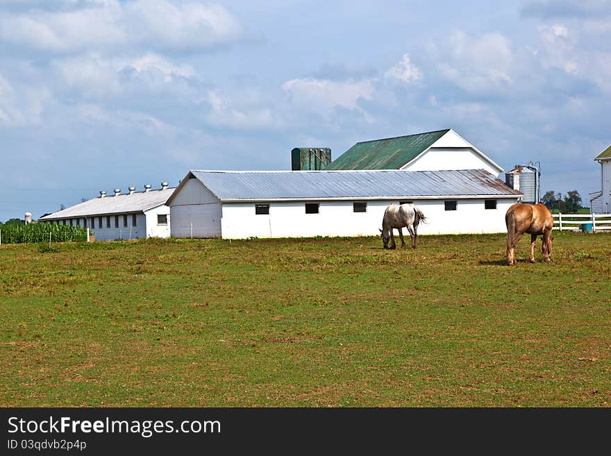 Farm house with field and silo in beautiful landscape