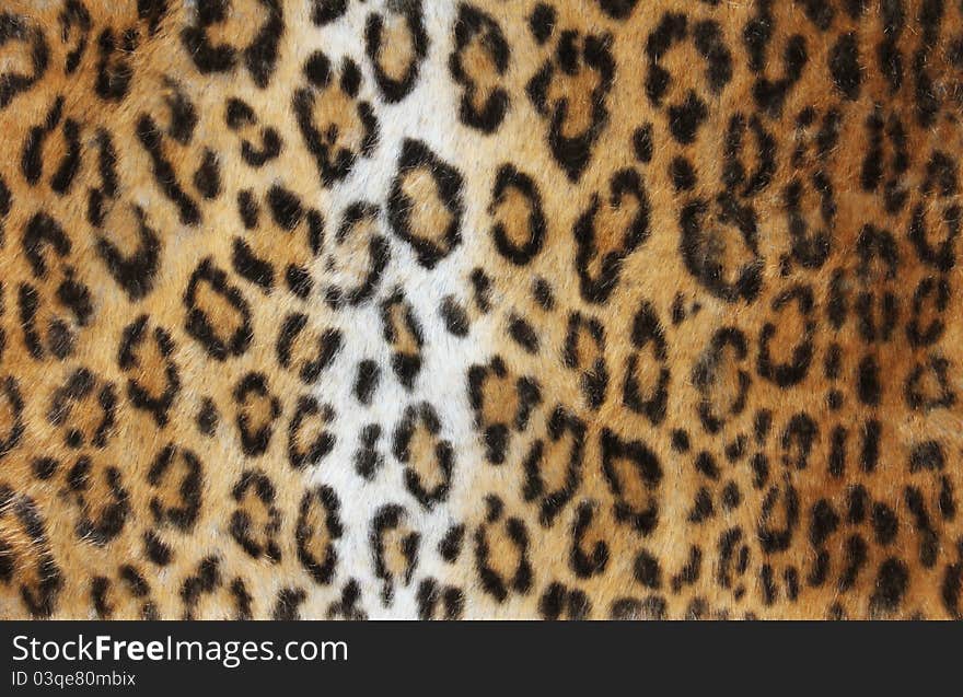 Leopard fur background