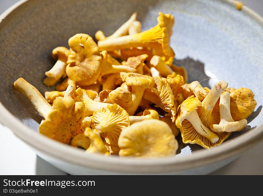 Chanterelles