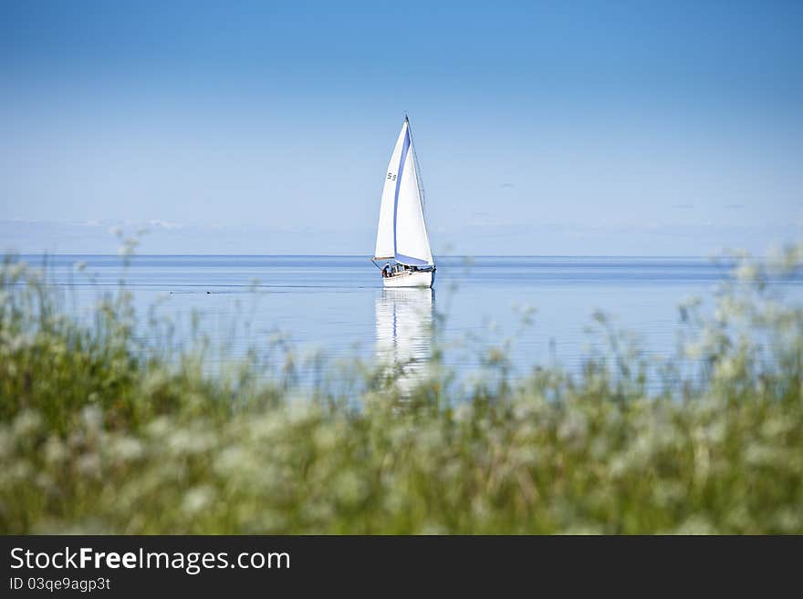 Sailboat In Calm Water