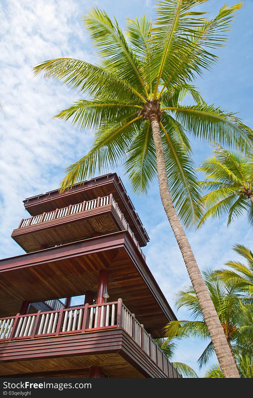 Coconut tree with watch tower