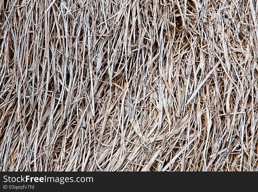 Dry brown grass macro background. Dry brown grass macro background.