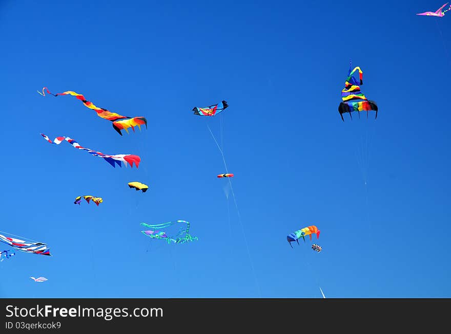 Kite Festival