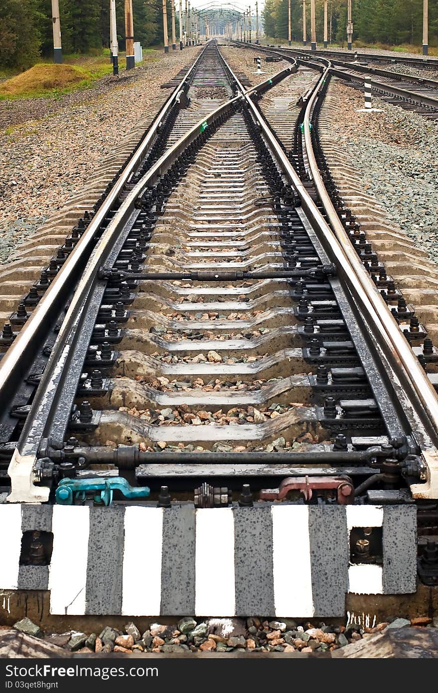 Tracks and rails with arrows among a wood