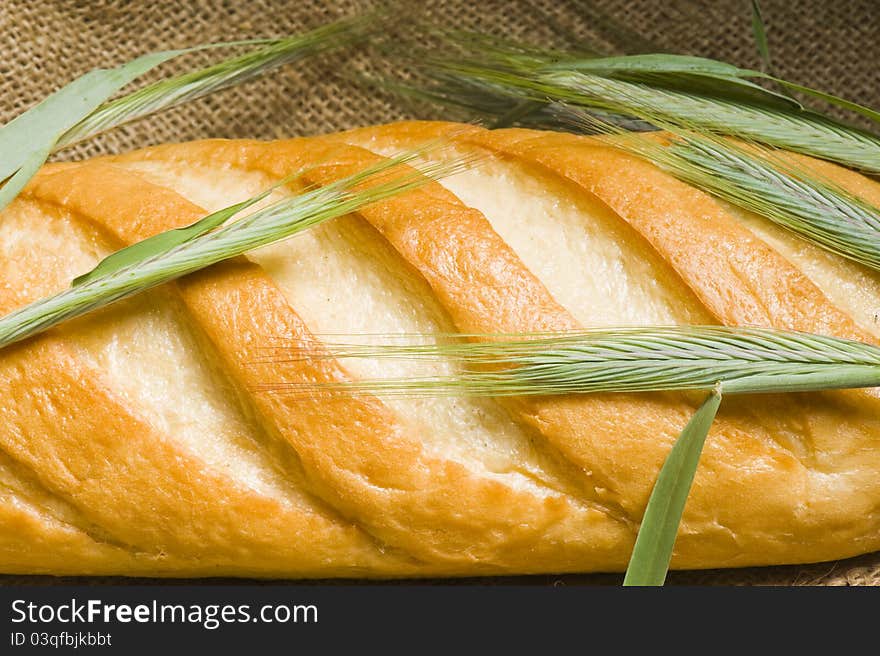 Fresh bread. close up studio shot