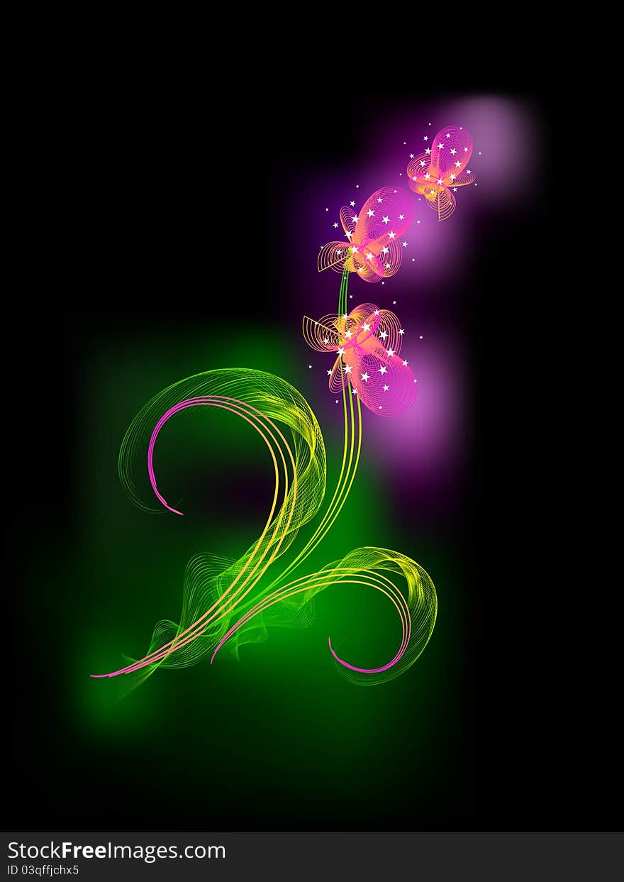 The Vector drawing of flower. On black background gentile orchid. Stylized. Abstract.