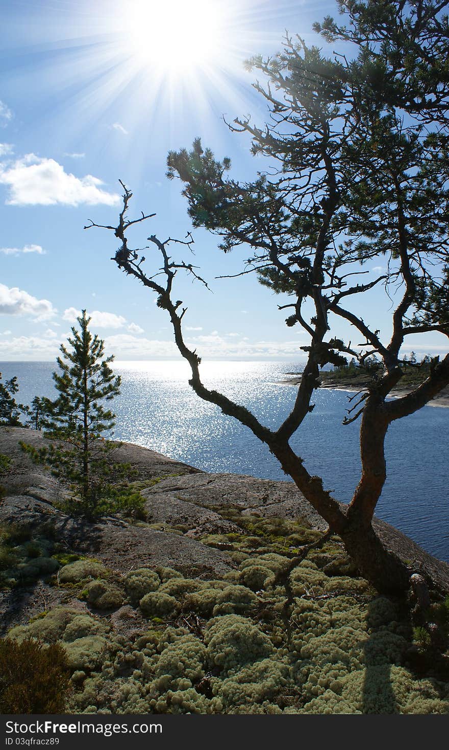 Ladoga lake. Karelian nature, the northern landscape , sunny