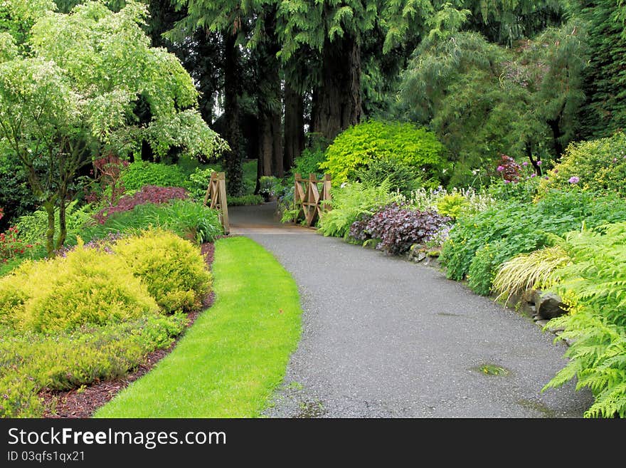 A tranquil path in a park surrounded by lush green plants and trees.