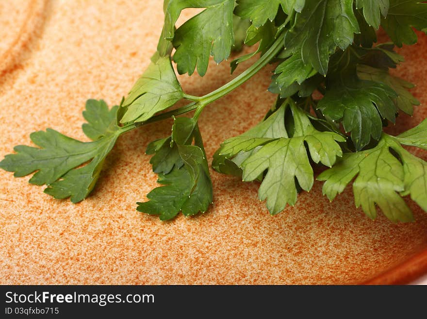 Twig of parsley nature food texture background. Twig of parsley nature food texture background