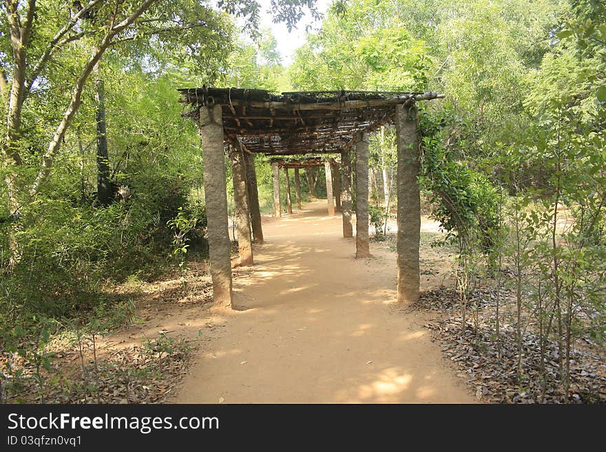 Covered Pathway in an artificial Jungle