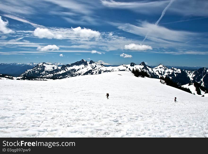 Hikers slowly climbing up Mount Rainier on the way to Camp Muir, base camp for summiting the majestic mountain. Hikers slowly climbing up Mount Rainier on the way to Camp Muir, base camp for summiting the majestic mountain.