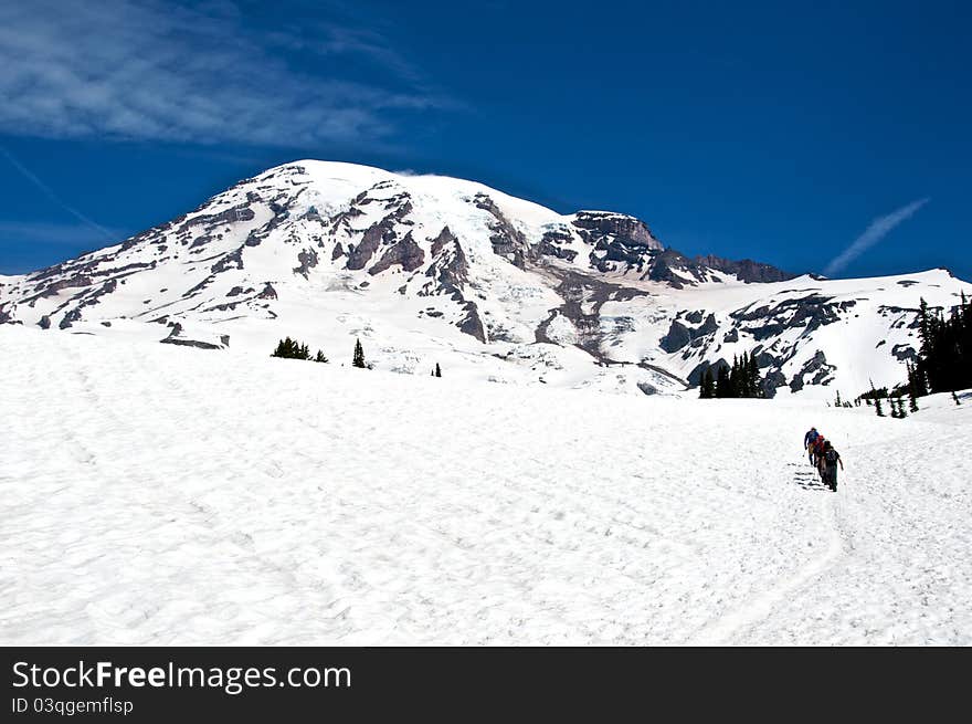 Hikers slowly climbing up Mount Rainier on the way to Camp Muir, base camp for summiting the majestic mountain. Hikers slowly climbing up Mount Rainier on the way to Camp Muir, base camp for summiting the majestic mountain.