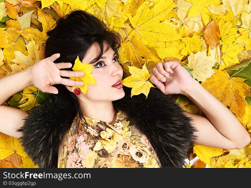 Portrait woman in fur collar. Portrait woman in fur collar.