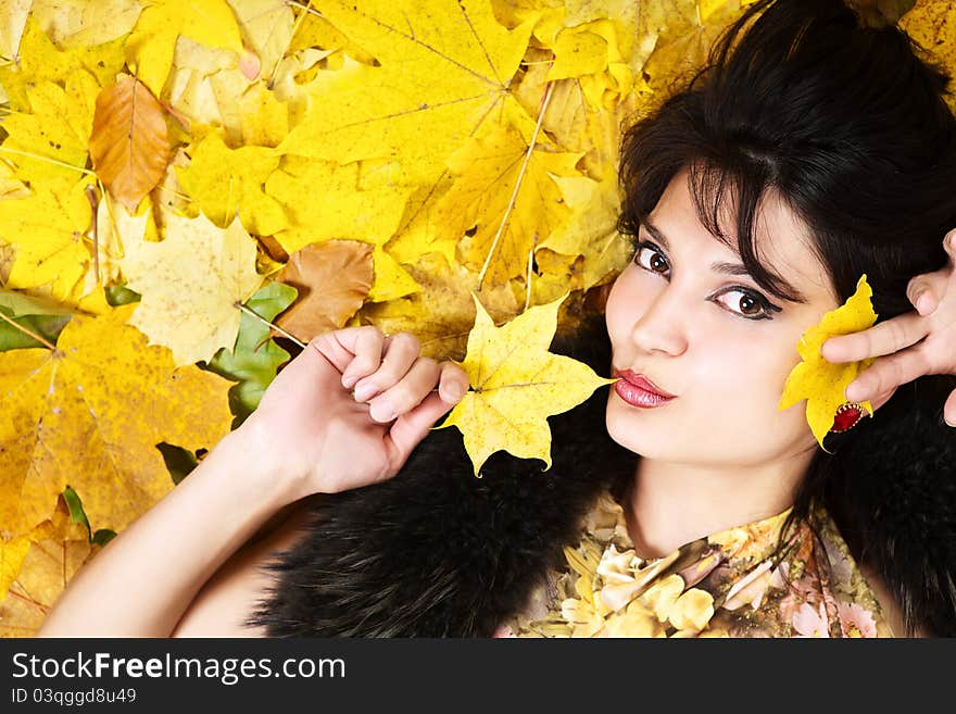 Autumn Yellow Leaves Are On The Background.