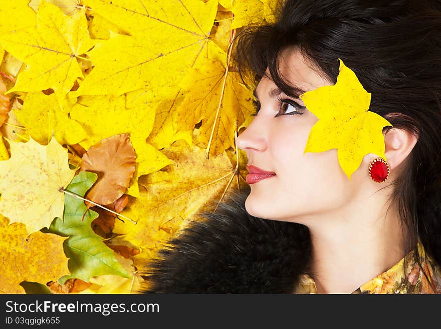 Autumn Yellow Leaves Are On The Background.