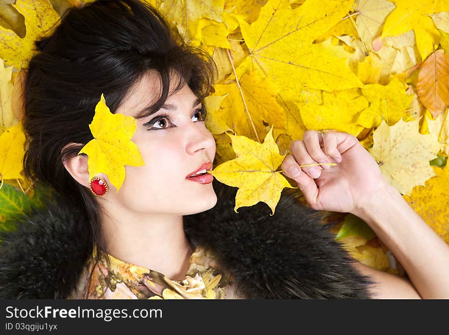 Portrait woman in fur collar. Portrait woman in fur collar.