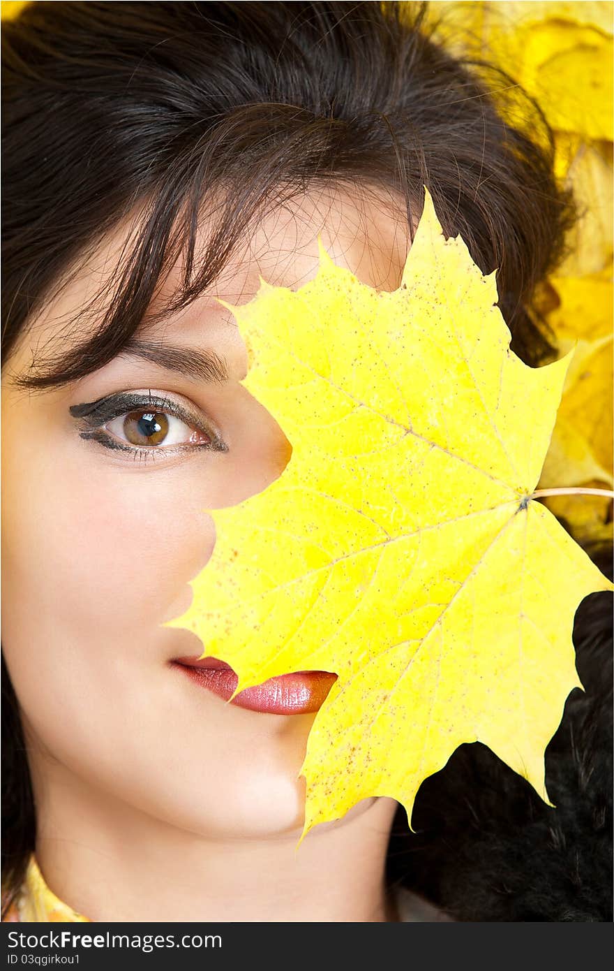 Autumn Yellow Leaves Are On The Background.