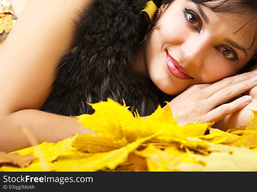 Autumn Yellow Leaves Are On The Background.