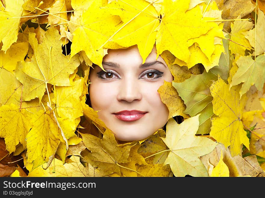 Autumn Yellow Leaves Are On The Background.