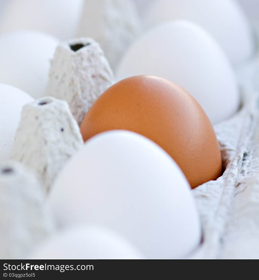 Close up of eggs in cardboard container