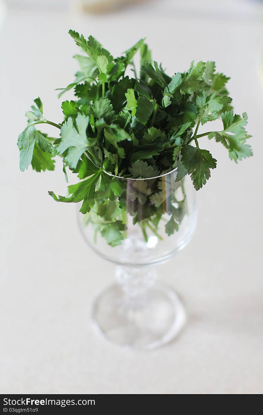 Parsley