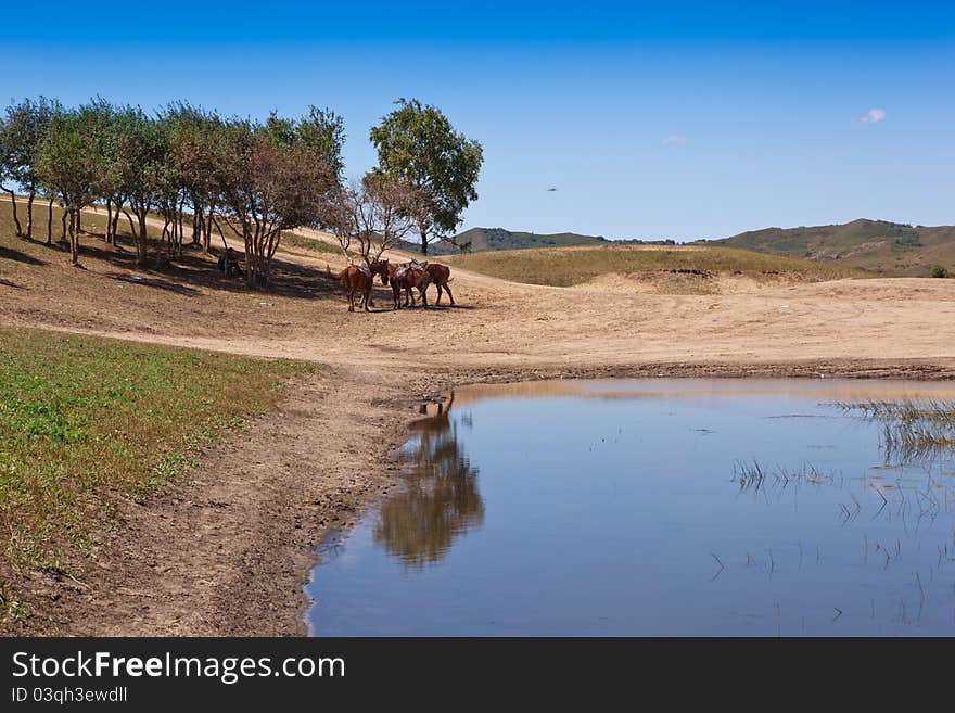 Grassland and wetland in Inner Mongolia,China