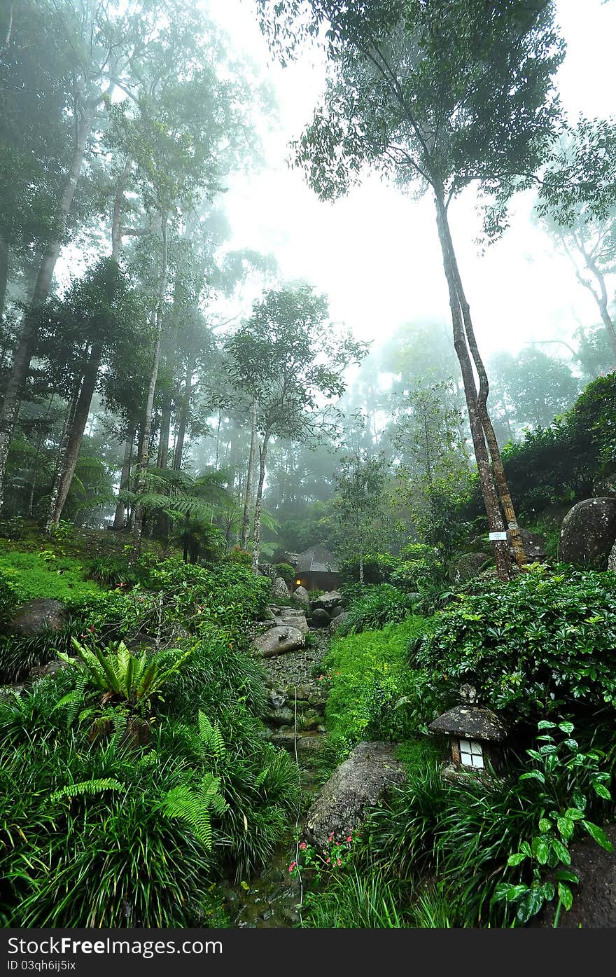 Beautiful classical landscaped Japanese garden