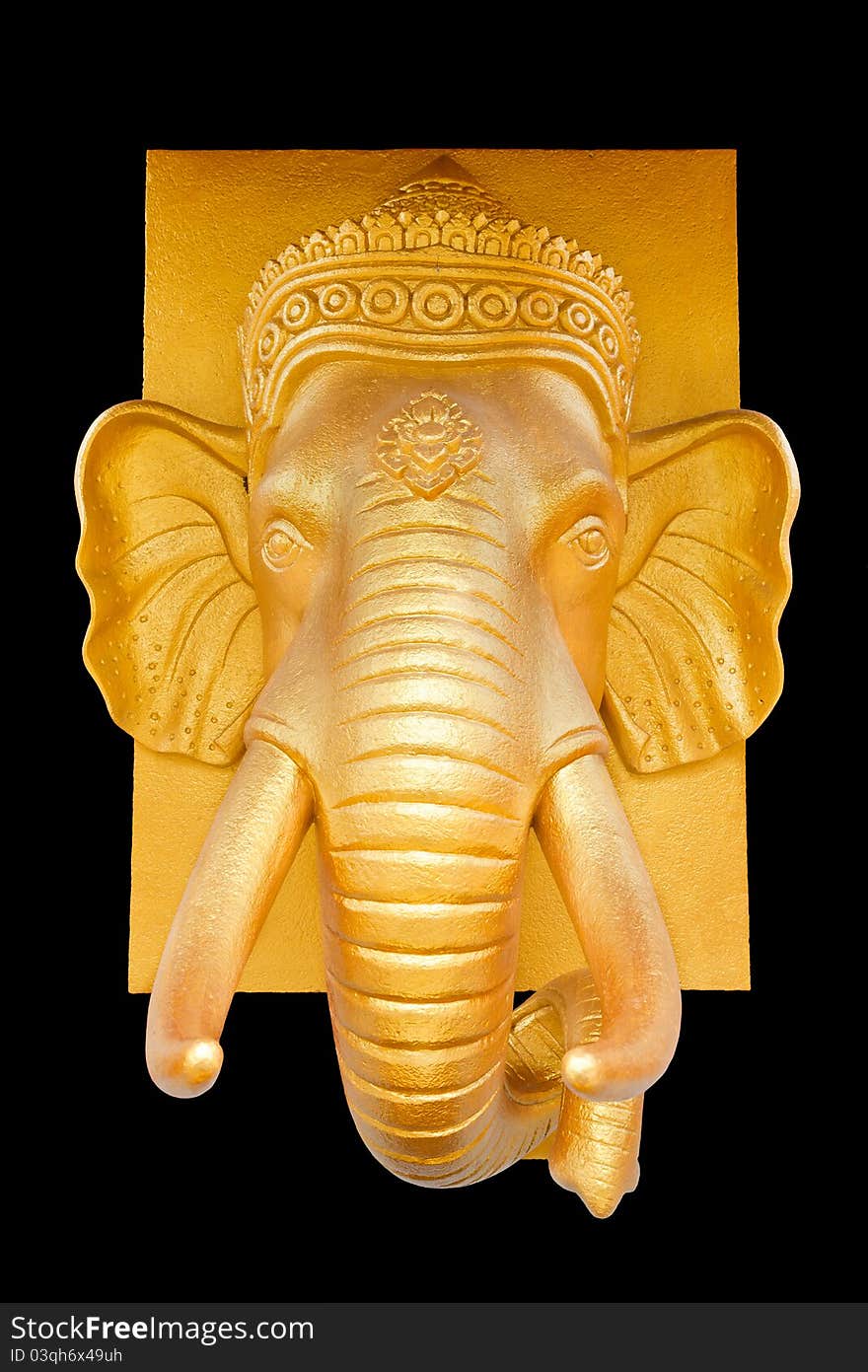 Isolate of Golden Elephant Head