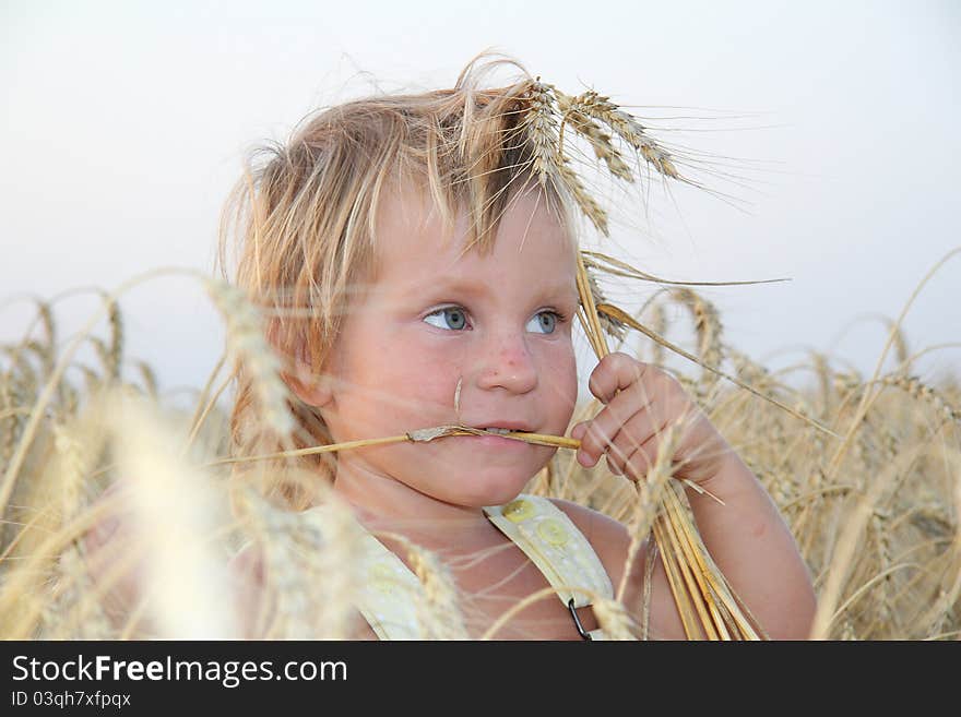 Child portrait in yellow field