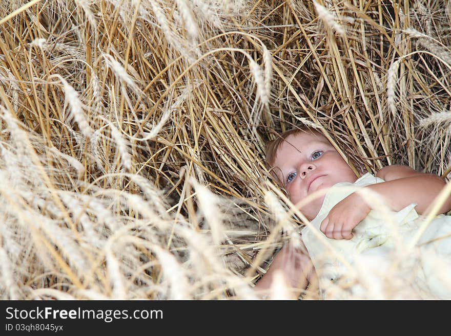 Child portrait in yellow field