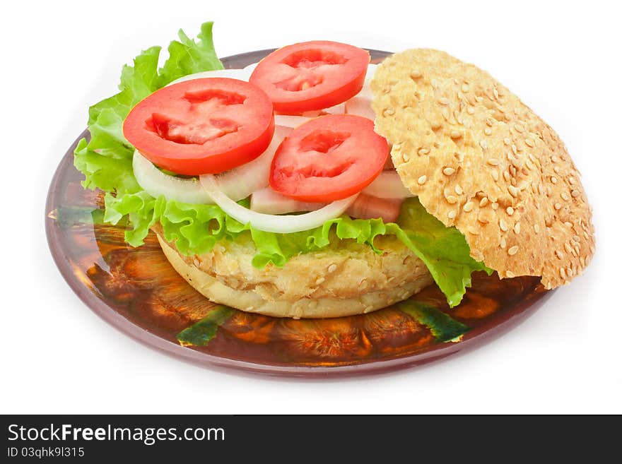 Hamburger isolated on the plate