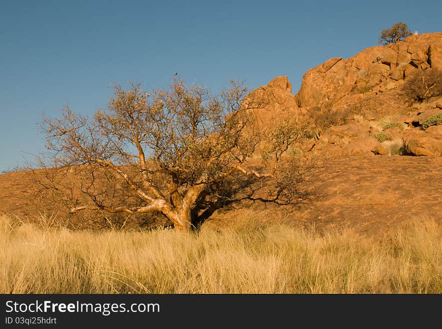 Namibian landscape