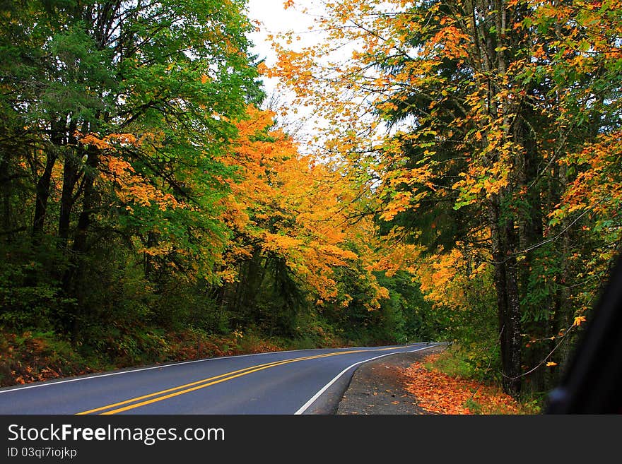 Fall in the Coast range