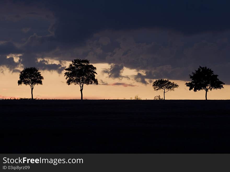 Sunset at the farmer's field. Sunset at the farmer's field