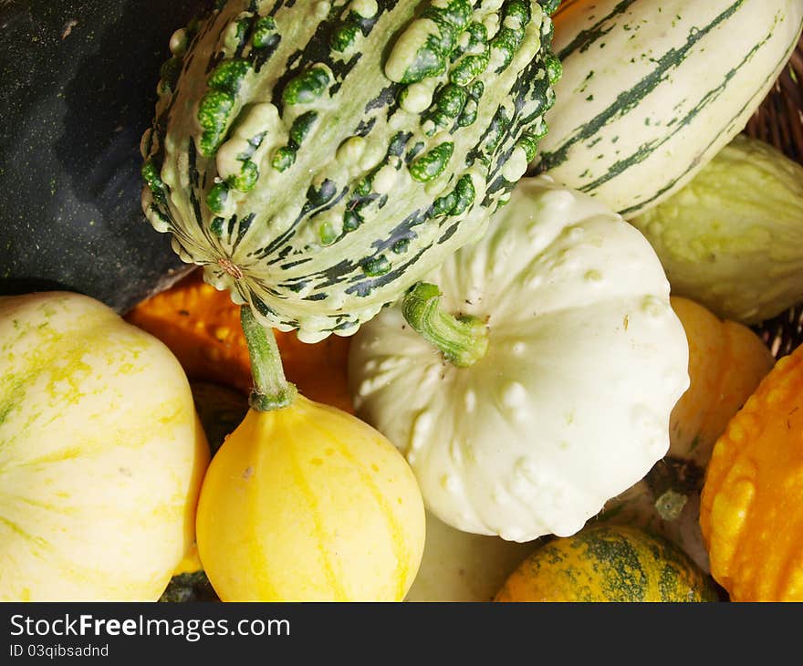 Colorful pumpkins on a background