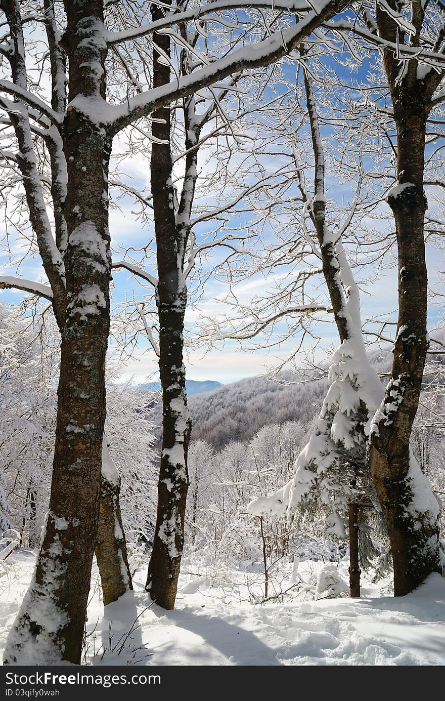 Mountain landscape with nice snow