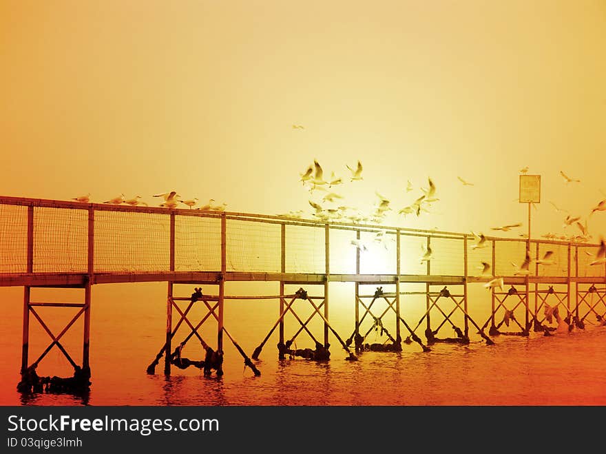 Gulls on the pier with orange sky at sunrise. Gulls on the pier with orange sky at sunrise