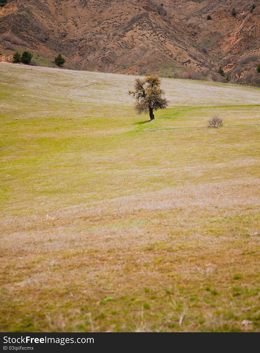 Rural Landscape In Turkey