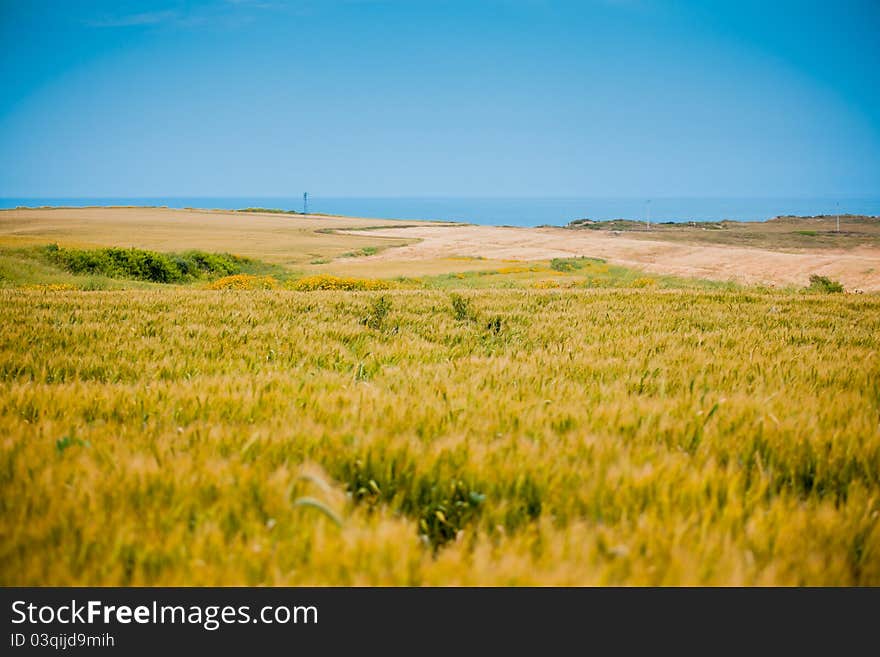 Summer countryside landscape at Karatas, in Turkey. Summer countryside landscape at Karatas, in Turkey.