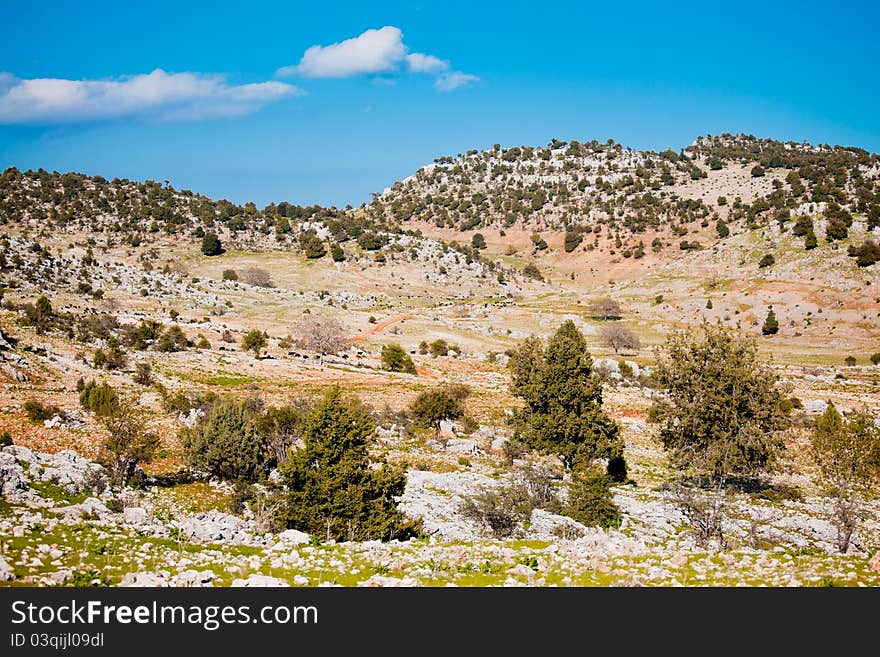 Rural Landscape In Turkey