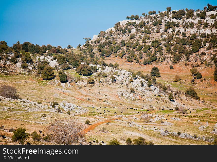 Rural landscape in Turkey