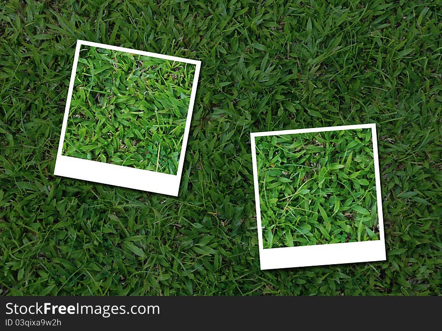 Photo frames from green grass pattern.