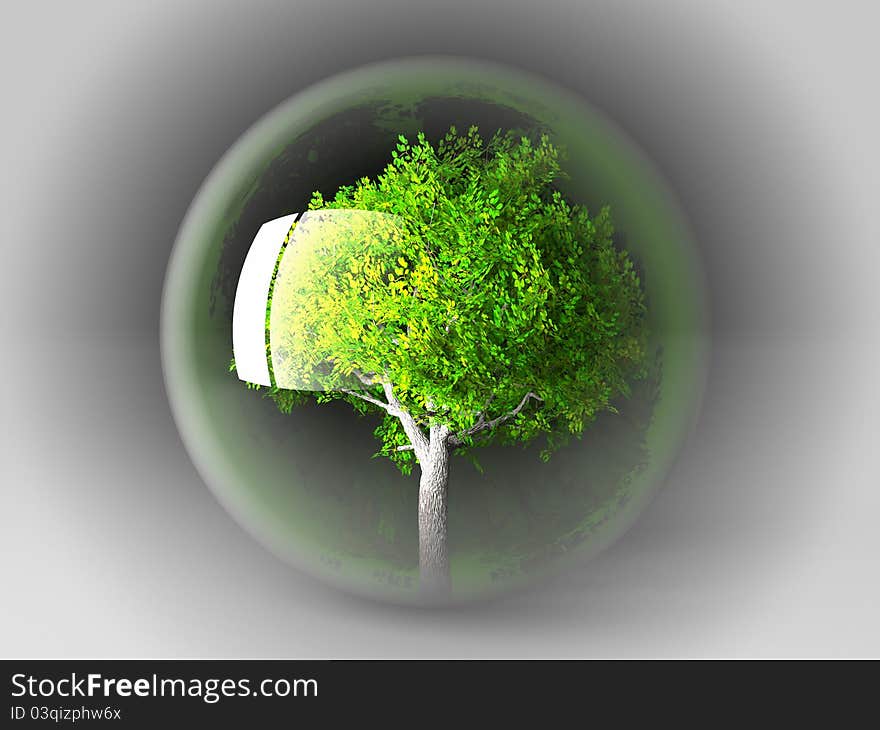 A green tree in a transparent bubble. A green tree in a transparent bubble