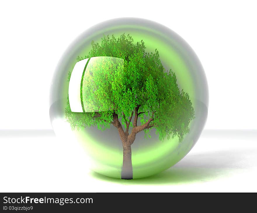 A green tree in a transparent bubble. A green tree in a transparent bubble