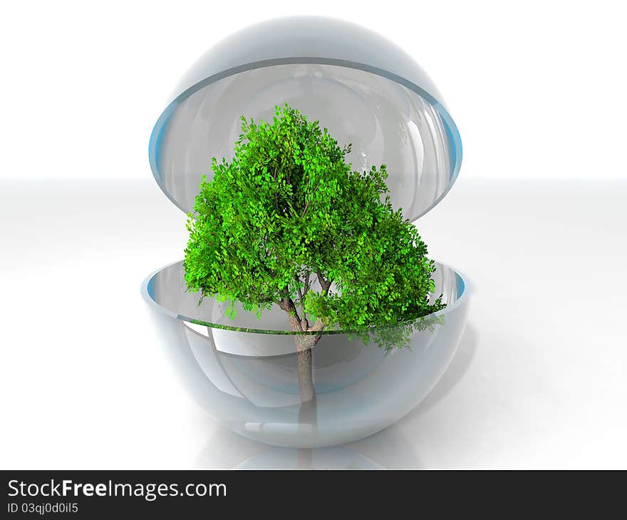 A green tree in a transparent bubble. A green tree in a transparent bubble